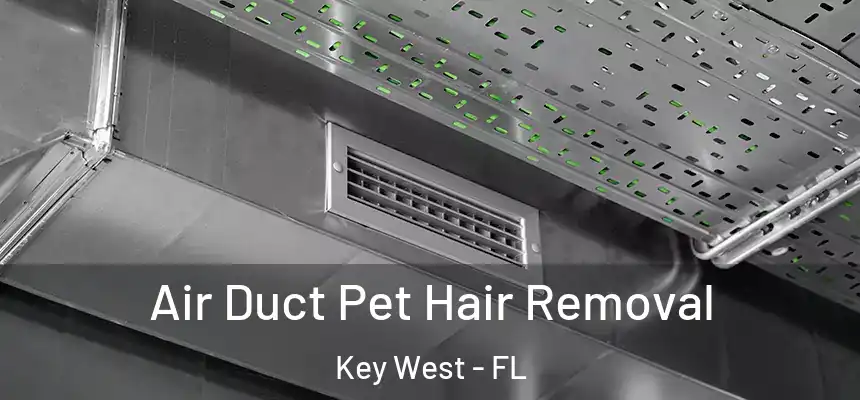 Air Duct Pet Hair Removal Key West - FL