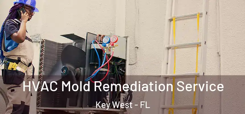 HVAC Mold Remediation Service Key West - FL