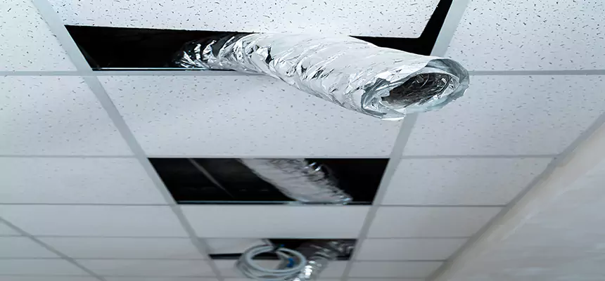Affordable HVAC Sanitizing After Pest Removal in Key West
