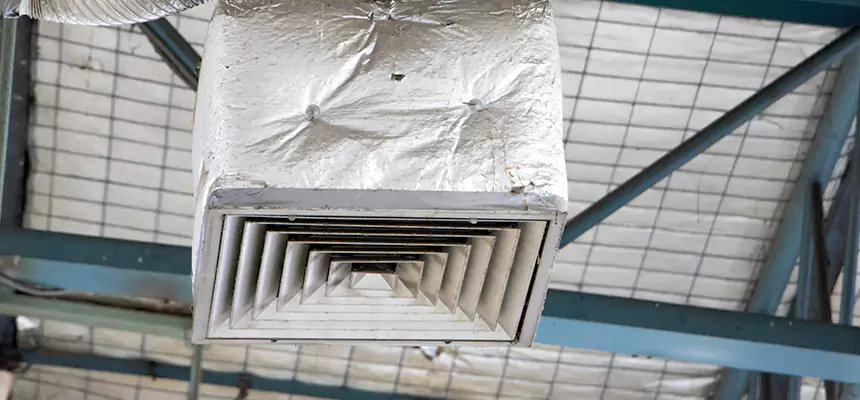 Our HVAC Mold Remediation Service Services in Key West, FL