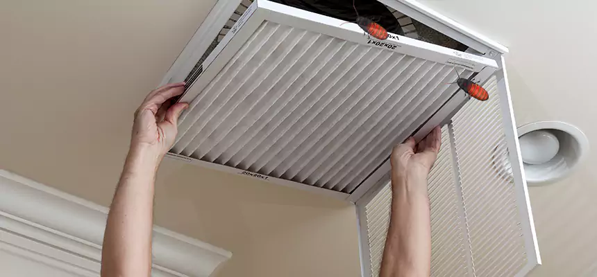 Our Insect Removal from Air Ducts Services in Key West, FL