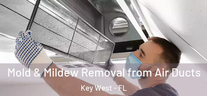 Mold & Mildew Removal from Air Ducts Key West - FL