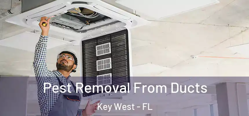 Pest Removal From Ducts Key West - FL