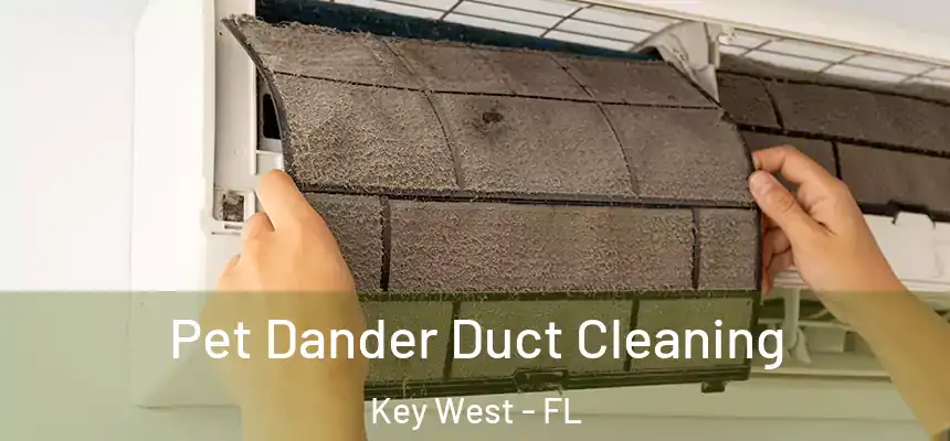 Pet Dander Duct Cleaning Key West - FL