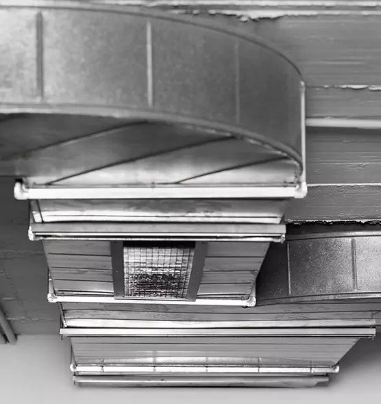 Professional Air Duct Pet Hair Removal in Key West, FL