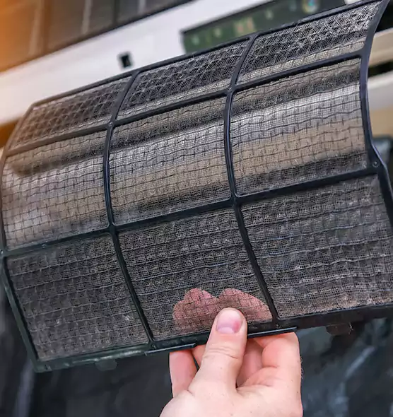 About Pet Dander Duct Cleaning in Key West, FL